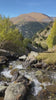 1. Nature Collection
