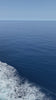 Just the blue, open sea