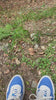 View from the woods, pan up.